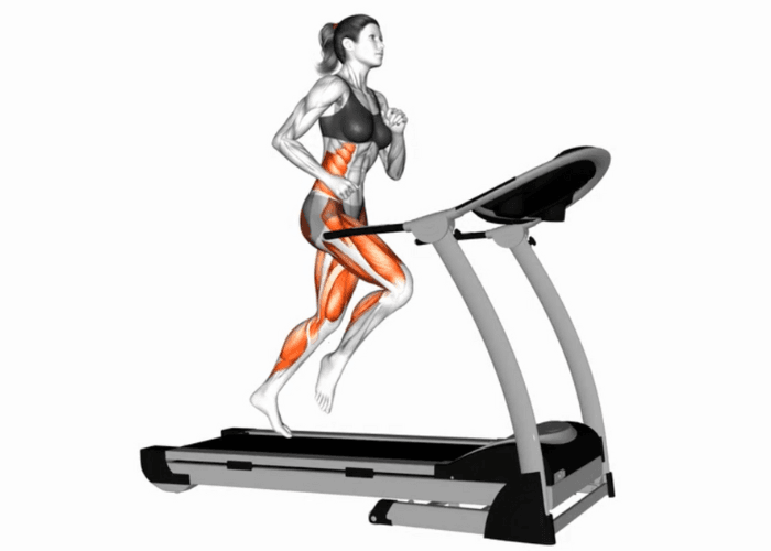 Femme en 3D courant sur un tapis de course, illustrant un exercice de cardio et d'endurance.