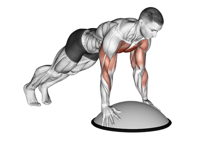 Homme en 3D réalisant un exercice de gainage avec les mains sur un Bosu, illustrant un exercice de renforcement des abdominaux et de l'équilibre