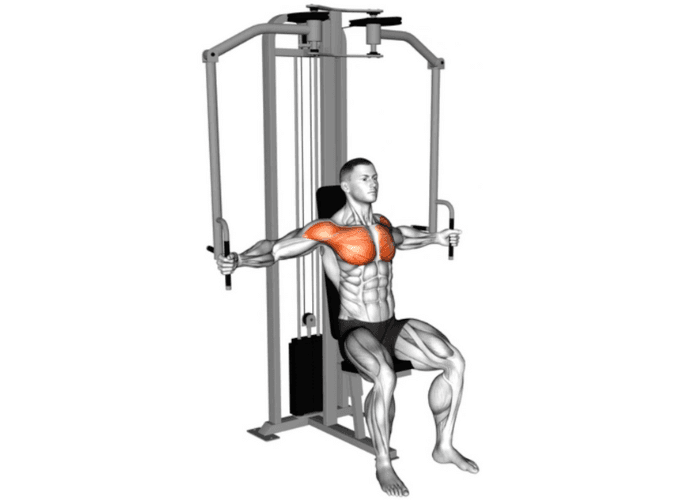 Homme en 3D travaillant les pectoraux sur une machine peck-deck, illustrant un exercice de musculation pour les pectoraux.