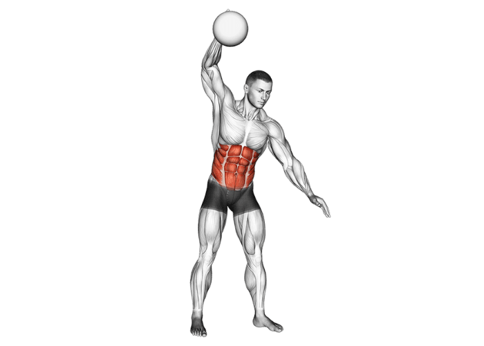 Homme en 3D réalisant un lancer de medicine ball, illustrant un exercice de puissance et de renforcement musculaire