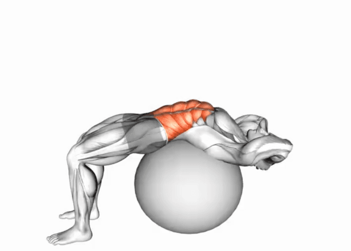 Personnage en 3D effectuant des crunchs sur un Swiss ball, illustrant un exercice de renforcement abdominal