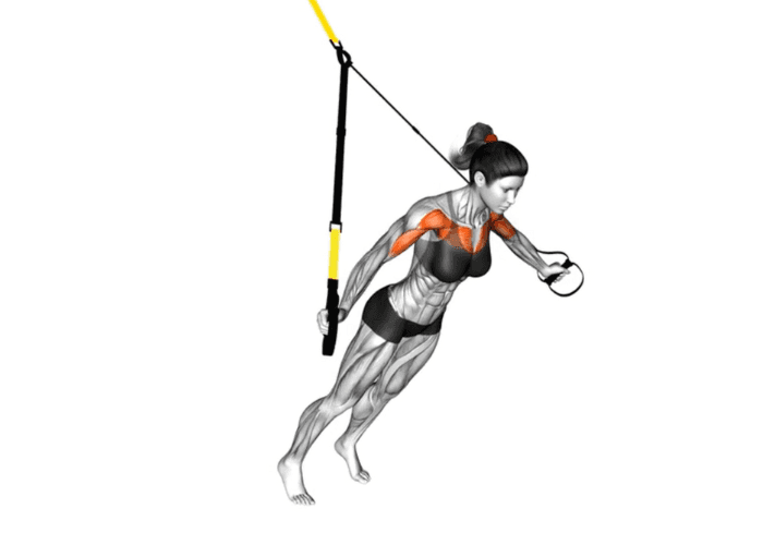 Femme en 3D réalisant des écartés au TRX, illustrant un exercice de musculation pour la poitrine et les épaules.