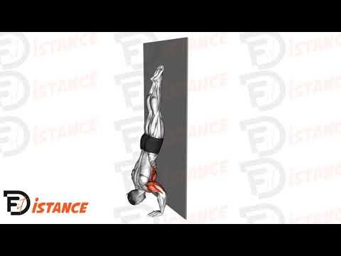 Pompes strictes en équilibre contre le mur (Handstand push ups - HSPU)