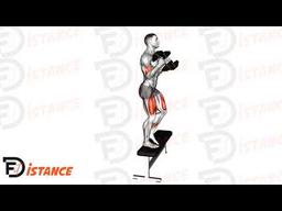 Exercice Curl biceps en montant sur un step avec haltères
