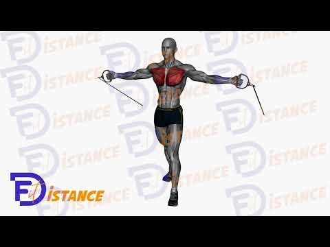 Écartés avec élastiques