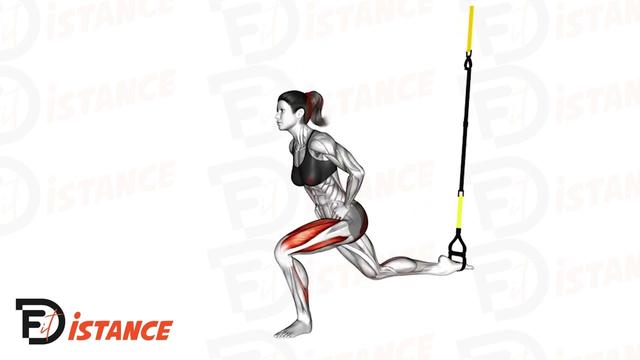 Squats bulgares avec TRX