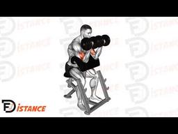 Exercice Curl pupitre avec double haltères