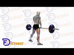 Exercice Soulevé de terre avec une jambe à la barre