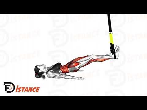 Extensions des ischio-jambiers avec TRX