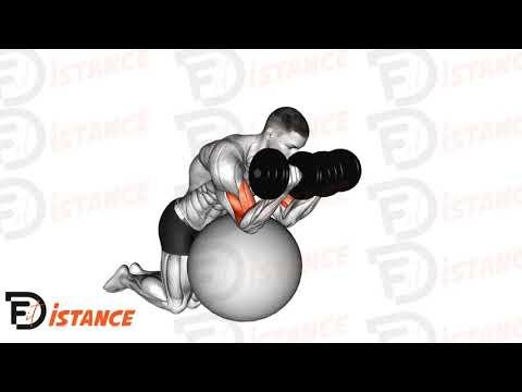 Curl au ballon avec haltères