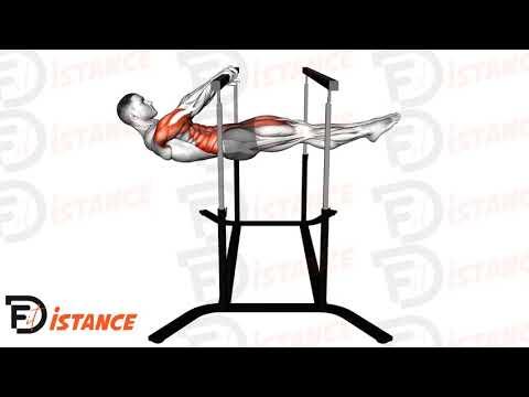 Front lever hold