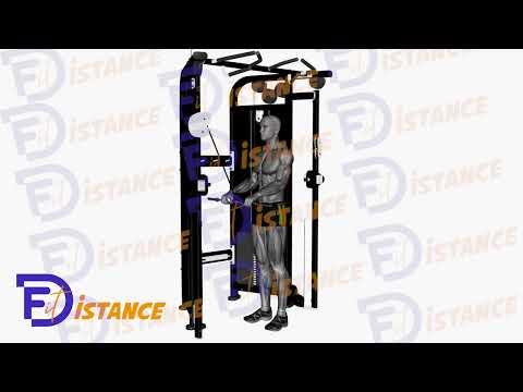Extension des triceps avec câble à la poulie