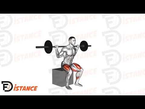 Squat sur box avec barre
