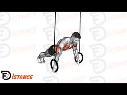 Exercice Pompes archer aux anneaux