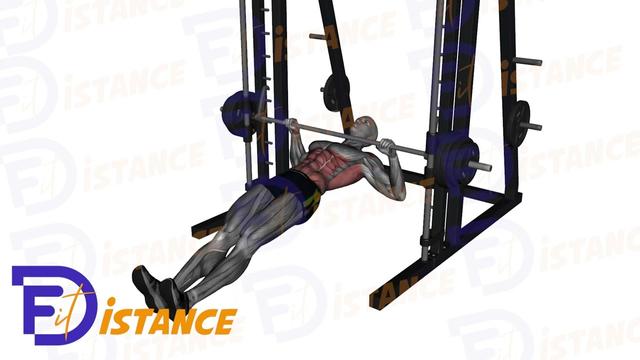 Tractions inversées à la barre (smith machine ou fixe)