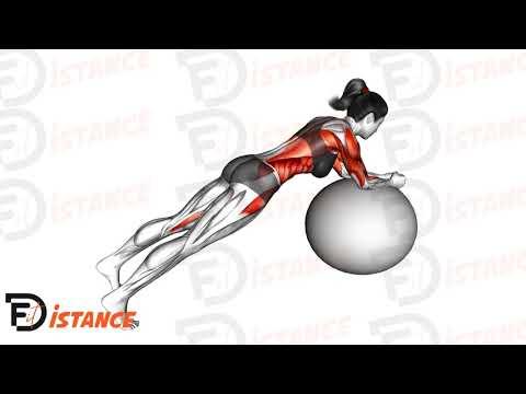 Gainage circulaire avec ballon (Swiss Ball)