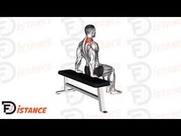Exercice Dips scapulaires
