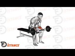 Exercice Curl poignets assis à la barre droite