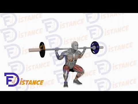 Squat avec pause à la barre