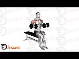 Exercice Drag curl assis avec haltères