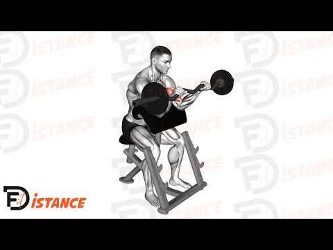 Curl inversé au pupitre avec barre EZ