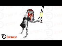 Exercice Jack Knife au TRX