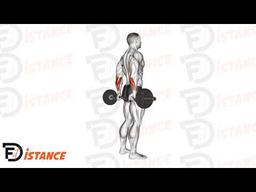 Exercice Curl des poignets derrière le dos avec barre EZ