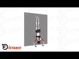 Exercice Pompes en équilibre sur les mains (Handstand Push-Ups)
