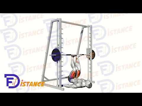 Presse verticale à la Smith Machine