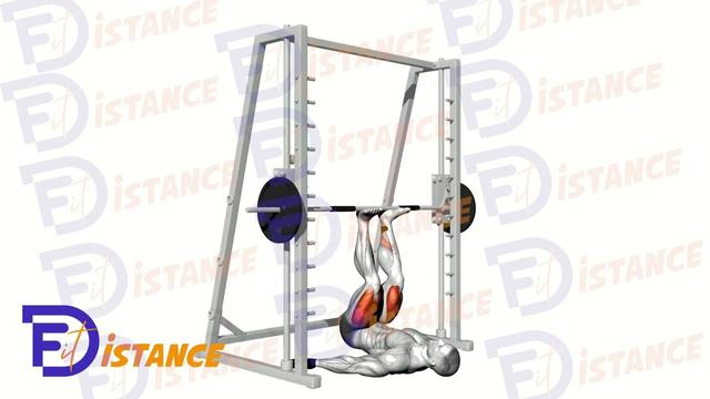 Presse verticale à la Smith Machine