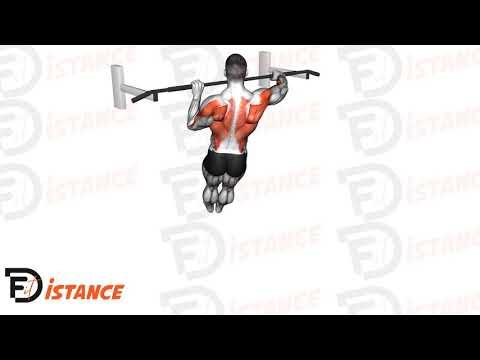 Tractions Archer