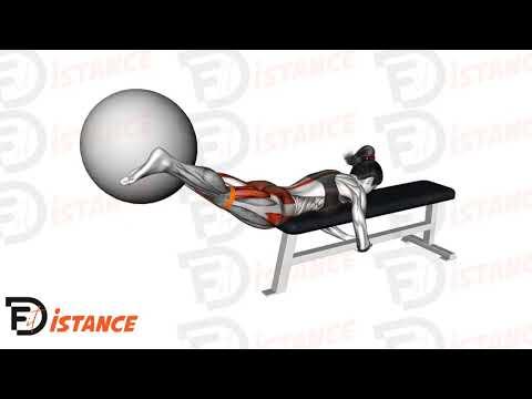 Hyperextensions inversées avec ballon (Swiss Ball)