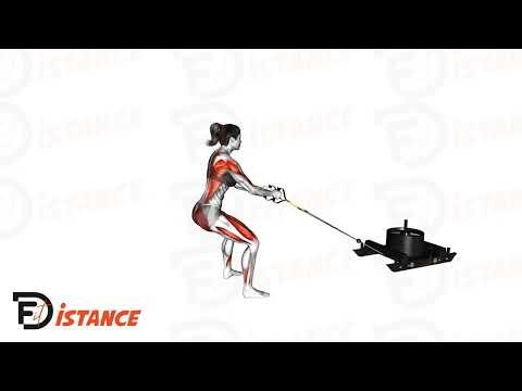 Tirage de traîneau (sled machine)