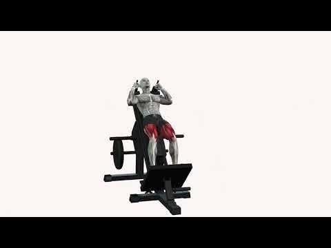 Hack Squat pieds écartés