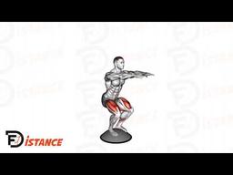 Exercice Squat sur BOSU