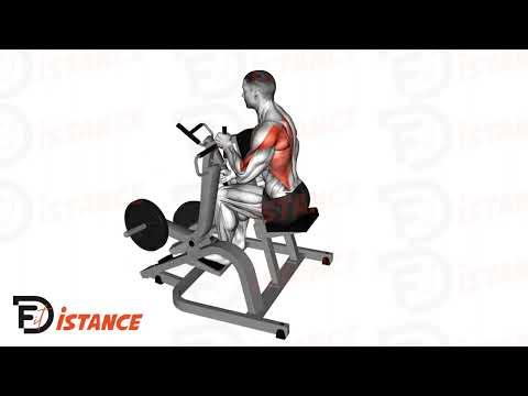 Rowing à la machine en unilatéral