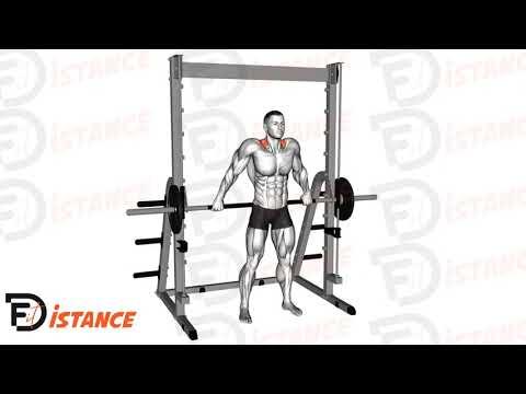 Shrugs prise large à la guidée (Smith machine)