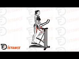 Exercice Stepper