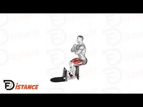 Sissy Squats à la machine