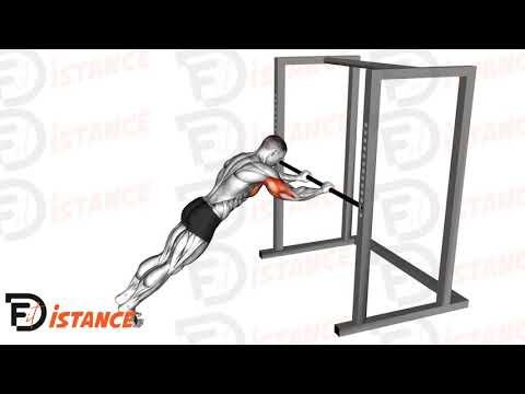 Triceps Press