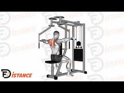 Exercice Butteryfly inversé (reverse fly)