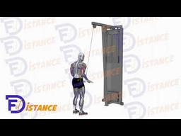 Exercice Extensions triceps en prise inversée à la poulie haute