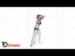 Exercice Extensions triceps à l'élastique au-dessus de la tête