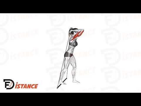 Extensions triceps à l'élastique au-dessus de la tête
