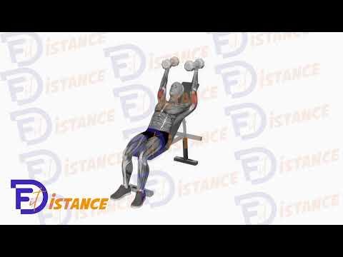 Extensions triceps avec haltères en position inclinée