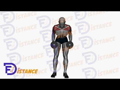 Rowing unilatéral avec haltère