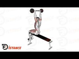 Exercice Sit-Ups avec barre