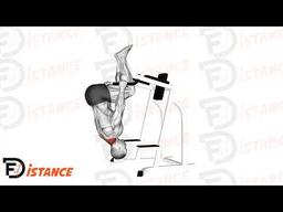 Exercice Shrug inversé sur barres parallèles