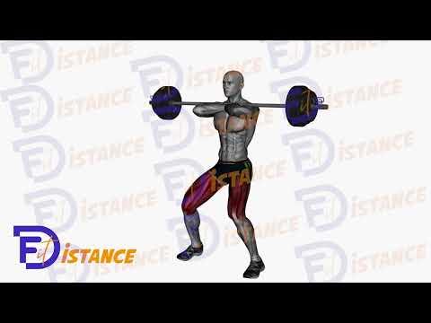 Squats avant (front squat) à la barre