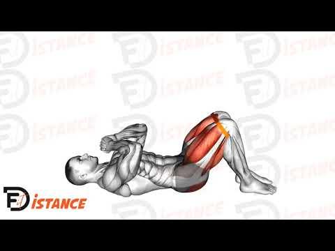 Relevé de bassin (Hip Thrust) élastique
